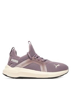 Sneakersy Puma Softride Enzo 5 Wn S 311213 14 Fioletowy - id: 0000305154002 - marki Puma - 187231794 Sneakersy Puma Softride Enzo 5 Wn S 311213 14 Fioletowy ze sklepu eobuwie.pl w kategorii Buty sportowe damskie - zdjęcie 187231794