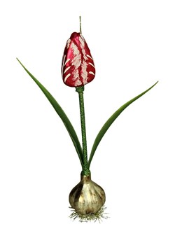 Kersten Ozdoba choinkowa &quot;Tulip&quot; w kolorze czerwono-zielonym - wys. 20,3 cm ze sklepu Limango Polska w kategorii Dekoracje bożonarodzeniowe - zdjęcie 187252583