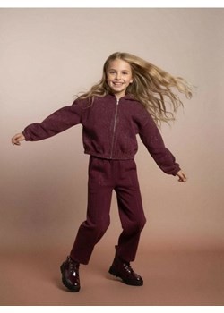 Sinsay - Bluza z kapturem z efektem sprania - bordowy - id: 278GW-53X - marki Sinsay - 187266293 Sinsay - Bluza z kapturem z efektem sprania - bordowy ze sklepu Sinsay w kategorii Bluzy dziewczęce - zdjęcie 187266293