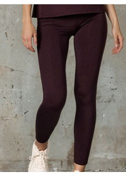 Sinsay - Legginsy sportowe - bordowy - id: 639FJ-93X - marki Sinsay - 187266392 Sinsay - Legginsy sportowe - bordowy ze sklepu Sinsay w kategorii Spodnie damskie - zdjęcie 187266392