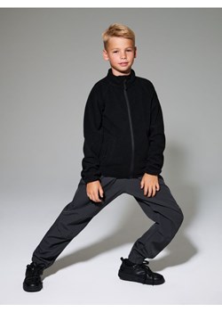 Sinsay - Termiczne spodnie parachute z polarem wewnątrz Active - szary ze sklepu Sinsay w kategorii Spodnie chłopięce - zdjęcie 187266443