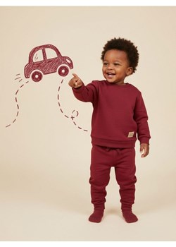 Sinsay - Komplet: bluza i spodnie - bordowy - id: 919FW-53X - marki Sinsay - 187266543 Sinsay - Komplet: bluza i spodnie - bordowy ze sklepu Sinsay w kategorii Komplety niemowlęce - zdjęcie 187266543