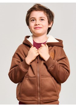 Sinsay - Cieplejsza bluza z kapturem z ozdobną naszywką - brązowy - id: 360FC-88X - marki Sinsay - 187316023 Sinsay - Cieplejsza bluza z kapturem z ozdobną naszywką - brązowy ze sklepu Sinsay w kategorii Bluzy chłopięce - zdjęcie 187316023