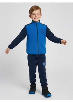Sinsay - Spodnie polarowe jogger - granatowy ze sklepu Sinsay w kategorii Spodnie chłopięce - zdjęcie 187333194