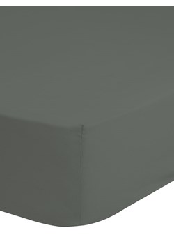 Good Morning Prześcieradło flanelowe &quot;Uni&quot; w kolorze oliwkowym na gumce ze sklepu Limango Polska w kategorii Prześcieradła - zdjęcie 187356994