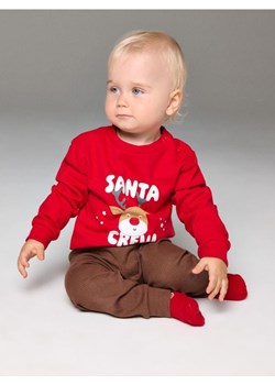 Sinsay - Bluza crewneck z motywem świątecznym - czerwony ze sklepu Sinsay w kategorii Bluzy i swetry - zdjęcie 187364591