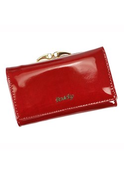 Portfel damski skórzany skóra naturalna Rovicky ze sklepu lenaodniemowlakadoszkolniaka.pl w kategorii Portfele damskie - zdjęcie 187399062
