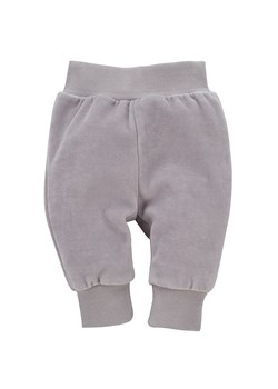 Leginsy spodnie niemowlęce welurowe szare Hello Pinokio ze sklepu lenaodniemowlakadoszkolniaka.pl w kategorii Spodnie i półśpiochy - zdjęcie 187401550