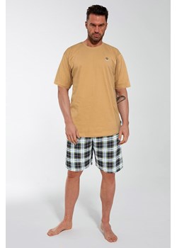 Piżama męska 326/183 Nature 3 ze sklepu lenaodniemowlakadoszkolniaka.pl w kategorii Piżamy męskie - zdjęcie 187404030