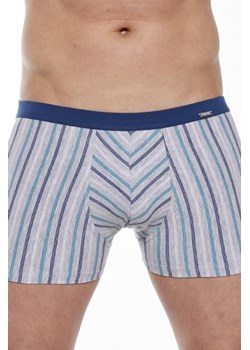 Bokserki majtki męskie VARIOUS Mini 228/131 ze sklepu lenaodniemowlakadoszkolniaka.pl w kategorii Majtki męskie - zdjęcie 187407103