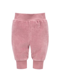 Spodnie welurowe różowe dla dziewczynki Magic Vibes Pinokio ze sklepu lenaodniemowlakadoszkolniaka.pl w kategorii Spodnie i półśpiochy - zdjęcie 187409912