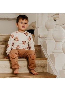 Bluza bawełniana w misie dla chłopca Eevi Cars&Bears ze sklepu lenaodniemowlakadoszkolniaka.pl w kategorii Bluzy i swetry - zdjęcie 187411380