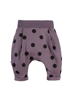 Spodnie dresowe dla dziewczynki Swan Ewa klucze Eevi ze sklepu lenaodniemowlakadoszkolniaka.pl w kategorii Odzież dla niemowląt - zdjęcie 187414672