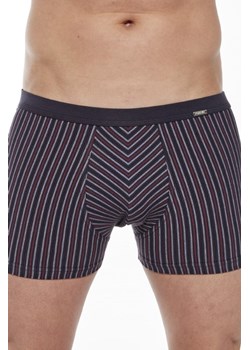 Bokserki majtki męskie VARIOUS Mini 228/135 ze sklepu lenaodniemowlakadoszkolniaka.pl w kategorii Majtki męskie - zdjęcie 187416153