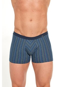 Bokserki VARIOUS Mini 228/126 ze sklepu lenaodniemowlakadoszkolniaka.pl w kategorii Majtki męskie - zdjęcie 187419623