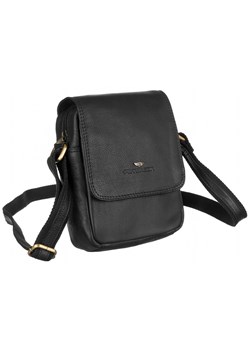 Torba saszetka listonoszka męska na ramię Peterson ze sklepu lenaodniemowlakadoszkolniaka.pl w kategorii Torby męskie - zdjęcie 187423793