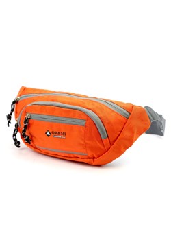 Saszetka nerka materiałowa Ormi ze sklepu lenaodniemowlakadoszkolniaka.pl w kategorii Nerki - zdjęcie 187424042