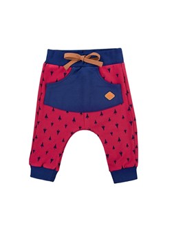 SPODNIE TRIP DRES CHŁ BORDO DRUK Ewa Klucze ze sklepu lenaodniemowlakadoszkolniaka.pl w kategorii Odzież dla niemowląt - zdjęcie 187430341