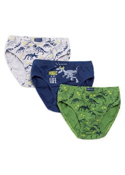 Slipy chłopięce B 223 SD 3-pack ze sklepu lenaodniemowlakadoszkolniaka.pl w kategorii Majtki dziecięce - zdjęcie 187432553