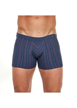 Bokserki męskie ze sklepu lenaodniemowlakadoszkolniaka.pl w kategorii Majtki męskie - zdjęcie 187444231