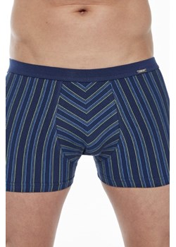 Bokserki majtki męskie VARIOUS Mini 228/134 ze sklepu lenaodniemowlakadoszkolniaka.pl w kategorii Majtki męskie - zdjęcie 187458154