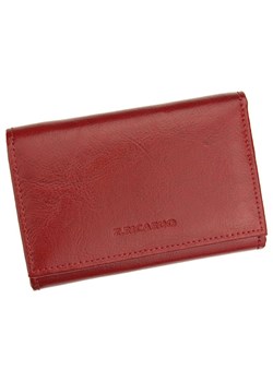 Portfel damski skórzany skóra naturalna Z.Ricardo ze sklepu lenaodniemowlakadoszkolniaka.pl w kategorii Portfele damskie - zdjęcie 187465543