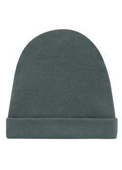 CZAPKA SCI LE TIGRE zielony 98/104 ze sklepu lenaodniemowlakadoszkolniaka.pl w kategorii Czapki dziecięce - zdjęcie 187469474