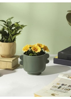 Sinsay - Doniczka z uchwytami - zielony ze sklepu Sinsay w kategorii Doniczki i osłonki - zdjęcie 187495770