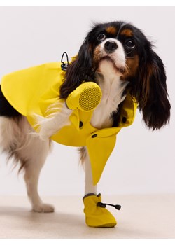 Mohito - Żółte buty dla psa - żółty ze sklepu Mohito w kategorii Dla zwierząt - zdjęcie 187507020