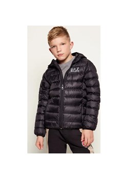 EA7 Puchowa kurtka | Regular Fit ze sklepu Gomez Fashion Store w kategorii Kurtki chłopięce - zdjęcie 187509724