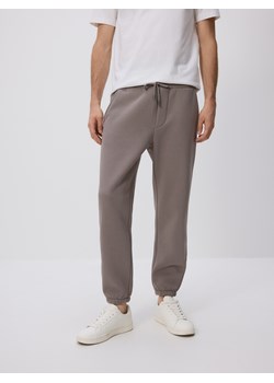 Reserved - Spodnie dresowe regular fit - szary ze sklepu Reserved w kategorii Spodnie męskie - zdjęcie 187511101