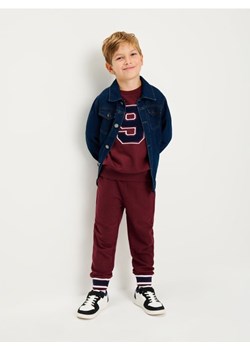 Sinsay - Komplet: bluza i spodnie - bordowy ze sklepu Sinsay w kategorii Spodnie chłopięce - zdjęcie 187513700