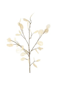 Boltze Gałązka dekoracyjna w kolorze beżowym - wys. 19 cm ze sklepu Limango Polska w kategorii Doniczki i osłonki - zdjęcie 187515263