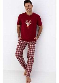 Sensis świąteczna piżama męska Jack, Kolor bordowy-wzór, Rozmiar M, SENSIS ze sklepu Primodo w kategorii Piżamy męskie - zdjęcie 187520083