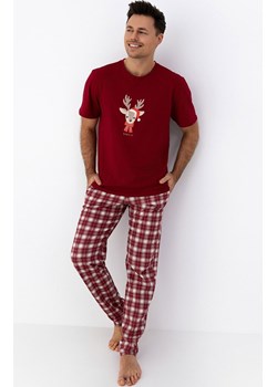 Sensis świąteczna piżama męska Jack, Kolor bordowy-wzór, Rozmiar M, SENSIS ze sklepu Primodo w kategorii Piżamy męskie - zdjęcie 187520084