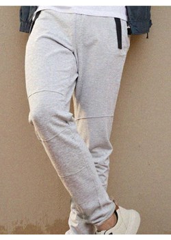 Sinsay - Joggery dresowe - szary ze sklepu Sinsay w kategorii Spodnie męskie - zdjęcie 187530151