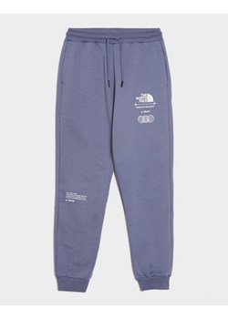 THE NORTH FACE SPODNIE W LOCATION GRAPHIC PANT ze sklepu JD Sports  w kategorii Spodnie damskie - zdjęcie 187532480