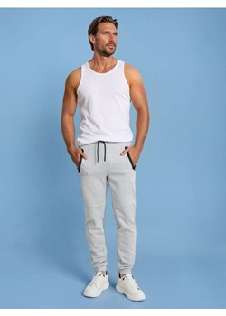 Sinsay - Joggery dresowe - szary ze sklepu Sinsay w kategorii Spodnie męskie - zdjęcie 187535904