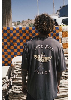 Todo Bien Amigo Tee - Stone Grey ze sklepu Surf Inc w kategorii T-shirty męskie - zdjęcie 187566513