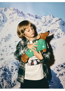 Reserved - Bawełniana koszula w kratę - zielony ze sklepu Reserved w kategorii Koszule chłopięce - zdjęcie 187603011