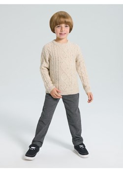 Sinsay - Sweter z dekoracyjnym splotem - beżowy ze sklepu Sinsay w kategorii Swetry chłopięce - zdjęcie 187610223