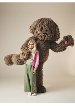 Reserved - Spodnie dresowe z nadrukiem Boffie & Poko - jasnozielony ze sklepu Reserved w kategorii Spodnie chłopięce - zdjęcie 187611021