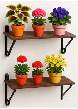 Komplet 2 brązowych półek wiszących na kwiaty L5-H80 ze sklepu Edinos.pl w kategorii Półki - zdjęcie 187621751