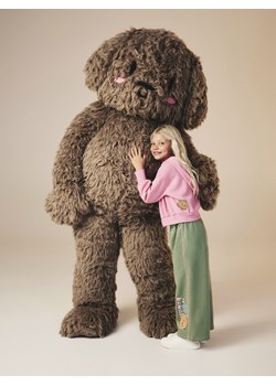 Reserved - Spodnie dresowe z nadrukiem Boffie & Poko - jasnozielony ze sklepu Reserved w kategorii Spodnie chłopięce - zdjęcie 187633234