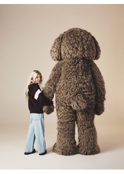 Reserved - Bluza z haftem - ciemnobrązowy ze sklepu Reserved w kategorii Bluzy chłopięce - zdjęcie 187635803