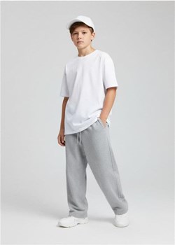 Sinsay - Spodnie dresowe straight - szary ze sklepu Sinsay w kategorii Spodnie chłopięce - zdjęcie 187636712