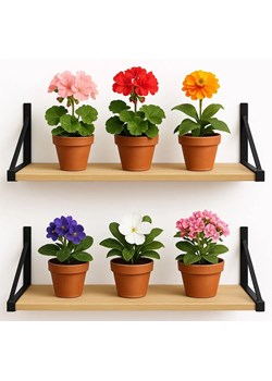 2 półki ścienne na kwiaty dąb sonoma 80 cm C9-E36 ze sklepu Edinos.pl w kategorii Półki - zdjęcie 187643063