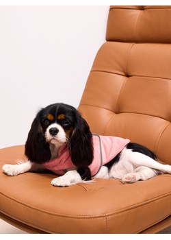 Mohito - Kurtka dla psa - pastelowy różowy ze sklepu Mohito w kategorii Dla zwierząt - zdjęcie 187644651