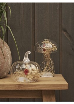 Sinsay - Lampka LED w kształcie grzybka z dekoracyjnymi suszkami - beżowy ze sklepu Sinsay w kategorii Oświetlenie led - zdjęcie 187645994