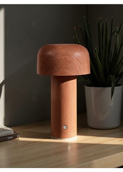Sinsay - Lampka LED w kształcie grzyba - brązowy ze sklepu Sinsay w kategorii Oświetlenie led - zdjęcie 187650480